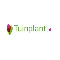 Tuinplant